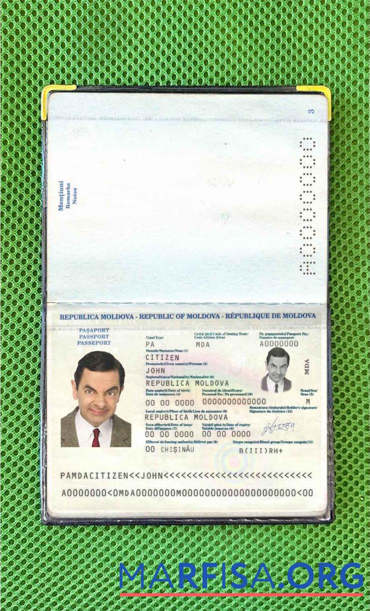 Downloadable Moldova passport (2011 2014) photo look real example